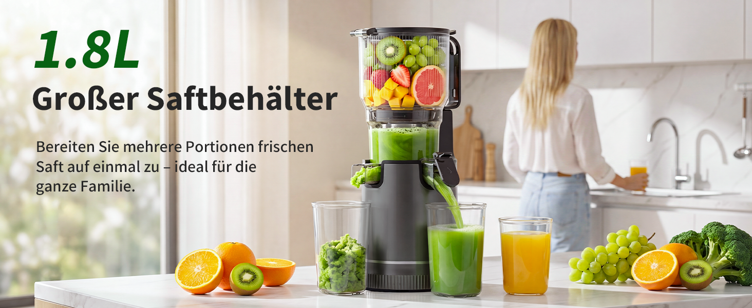 Шнекова соковижималка Entsafter Slow Juicer SJ-065, 400 Вт, XL-завантажувач 152 мм, Titanium Gray