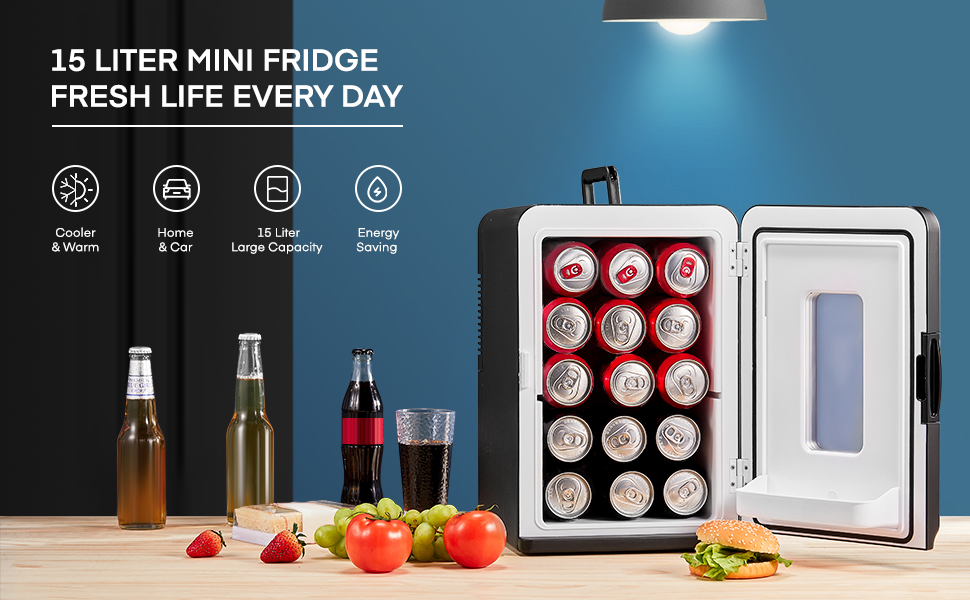 Northclan Mini Fridge 15L - Portable Cooler & Warmer for Home & Car - 220V AC/12V DC - Black