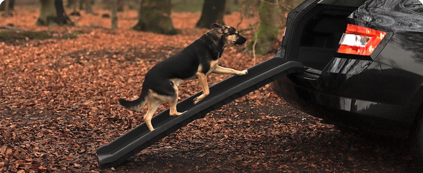 Рампа для собак Lionto до 90 кг, чорна, 156x40 см - навантажувальні бортики багажника, з антиковзким покриттям, для здоров'я суглобів
