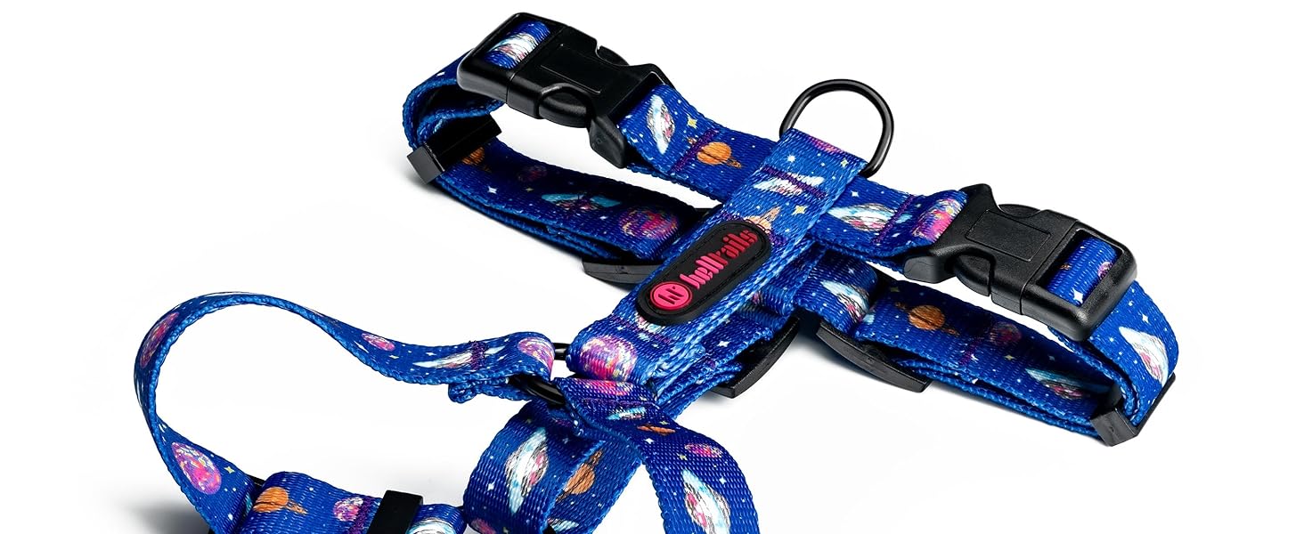 Шлейка для собак середніх порід | Не вбирає вологу | Регульована | З контролем | Легка класична шлейка для собак | Dog Harness - M (Cosmic Bloom, S - виміряйте собаку)