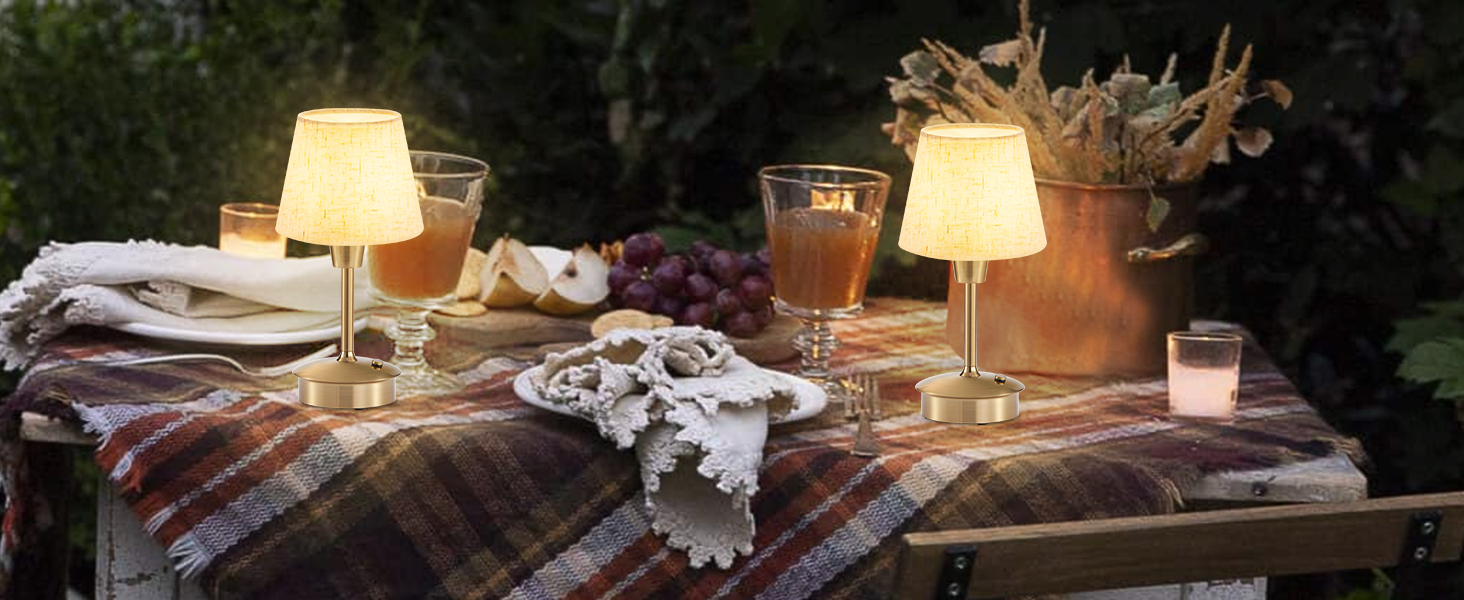 LED-лампа Egobasic настільна бездротова, 5200mAh, торкання, диммування, для дому та вулиці