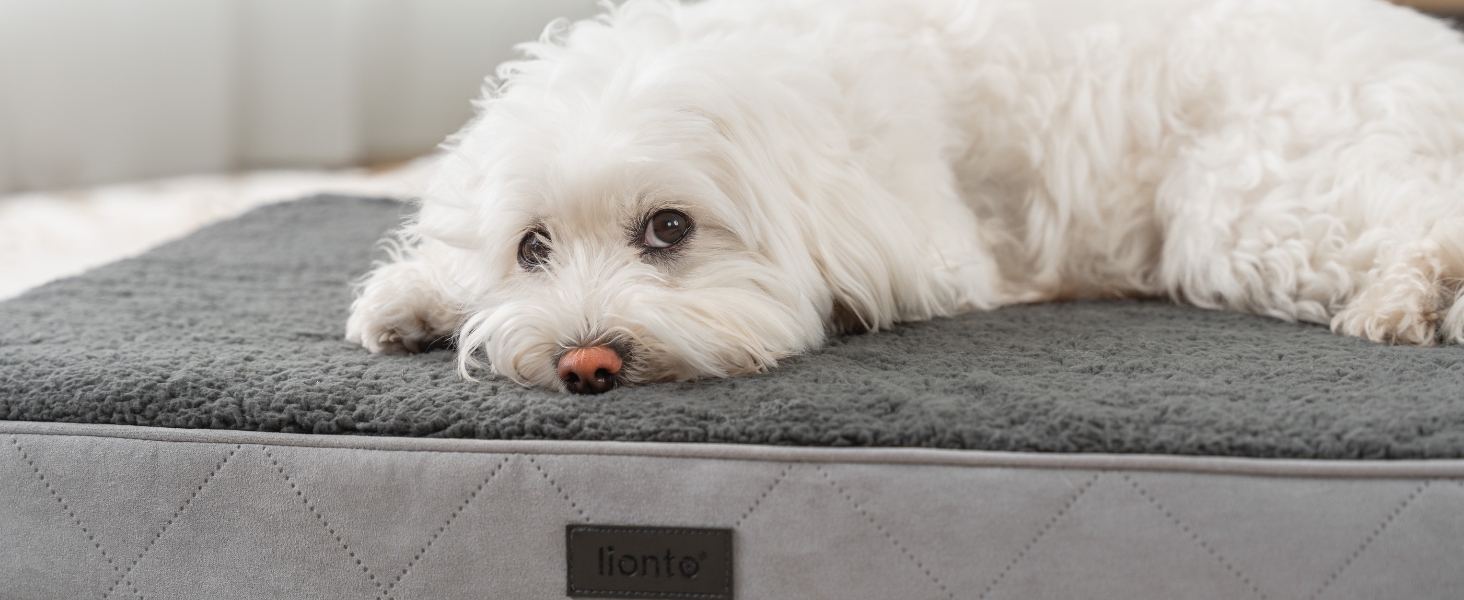 Ортопедичне ліжко для собак Lionto, 60x40x8 см, з м'яким плюшем, знімний та пральний чохол, водовідштовхувальне, для собак та котів, сірого кольору
