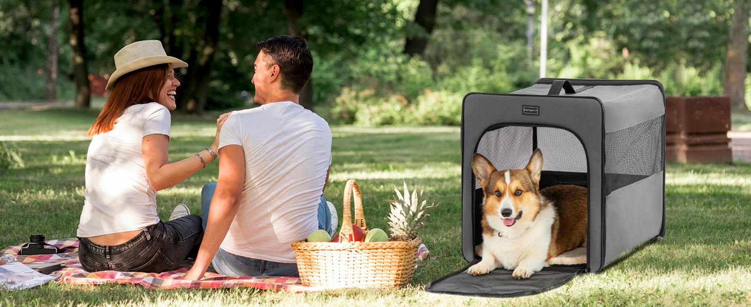 Транспортна переноска для собак Petsfit, сіра, M (61x46x53.5 см) з м'якою підстилкою