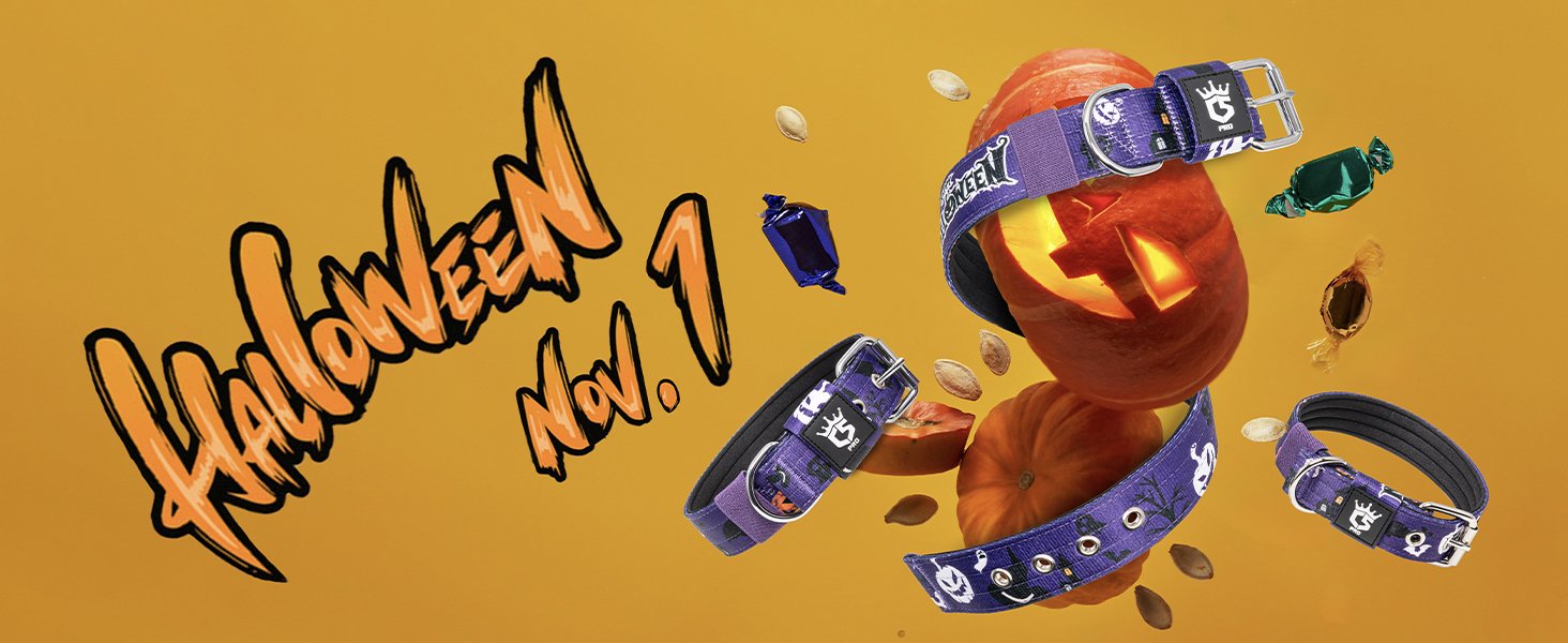 Тактичне нашийник для собак TSPRO, міцний, з металевою застібкою, 3.8 см, регульований, для середніх та великих собак (розмір M, 40-48 см), колір: фіолетовий