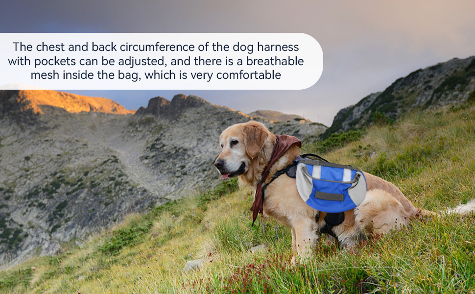 Рюкзак для собак Cyrank: зручний та безпечний для прогулянок та подорожей (L)