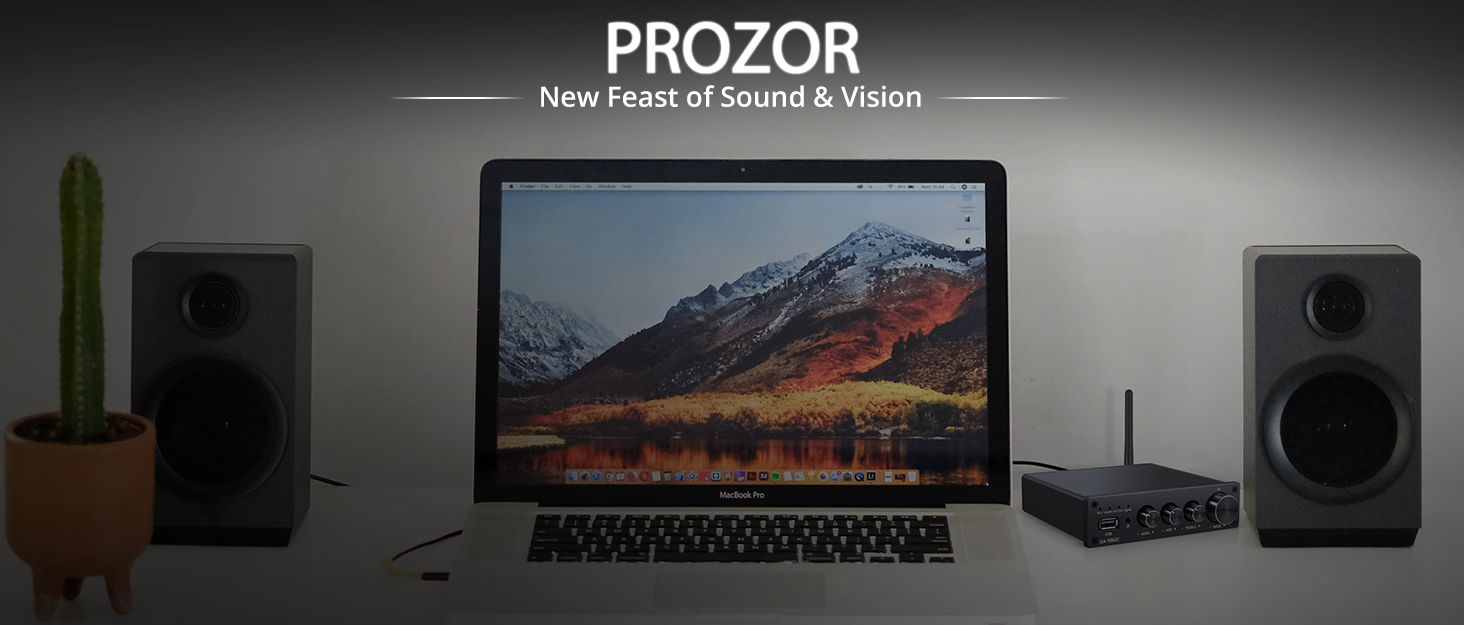 Bluetooth підсилювач PROZOR HiFi Stereo 2-канальний 40Вт+40Вт, 12V/220V, для авто та дому, з FM-радіо, аудіо-ампліфікатор BT-309A