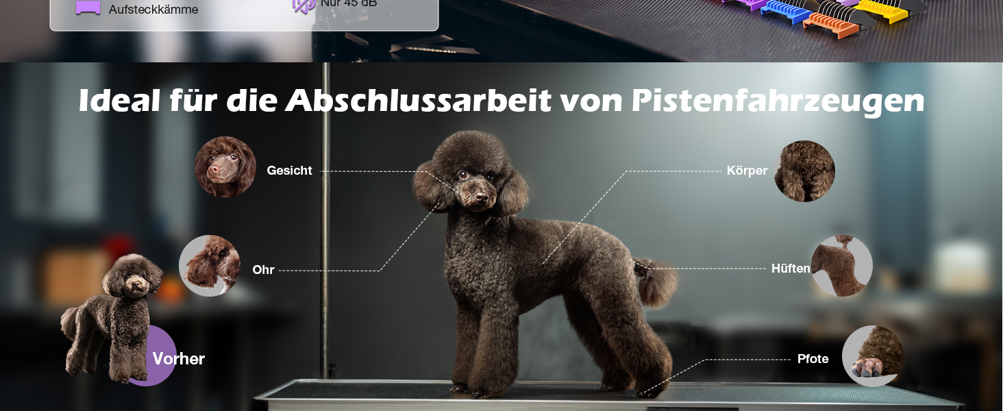 Професійна машинка для стрижки собак з запасним лезом, 5-в-1, фіолетовий колір