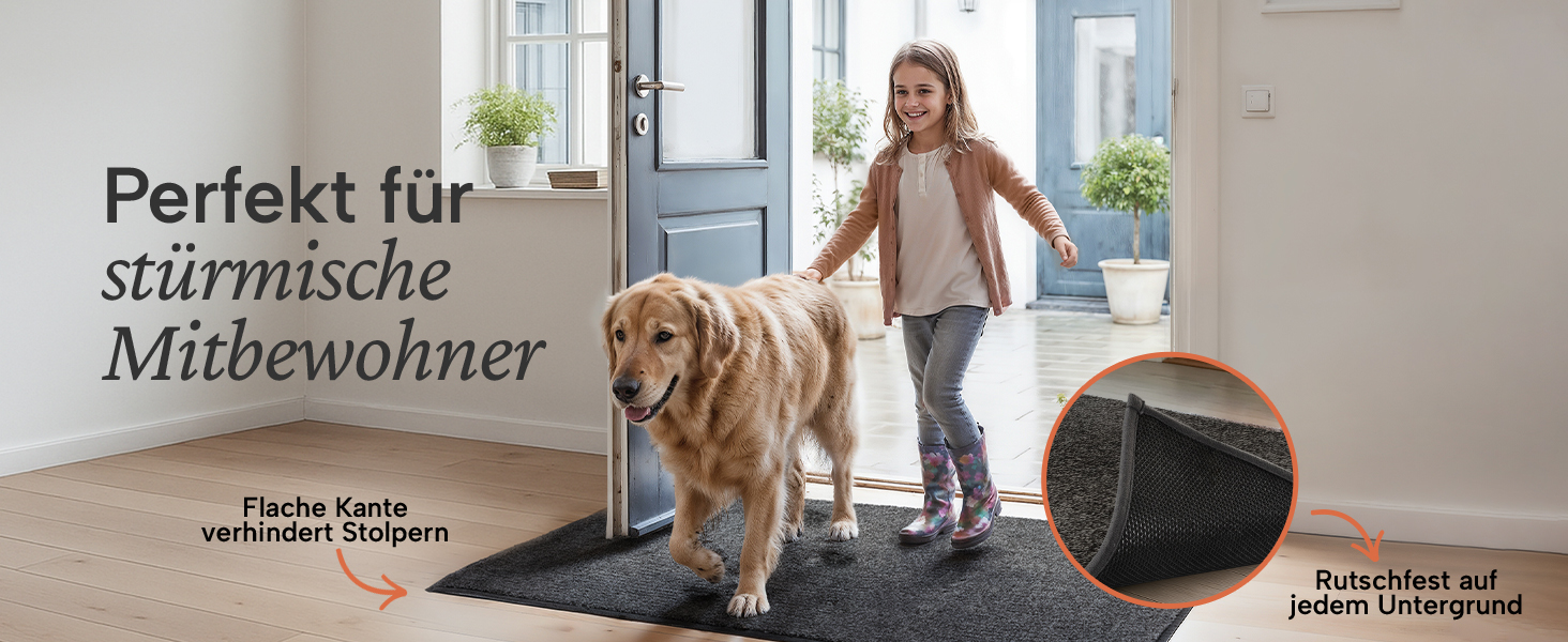 Килимок вхідний Blumtal 50x80 см, мікрофібра, протиковзний вологостійкий килим для бруду бежевий