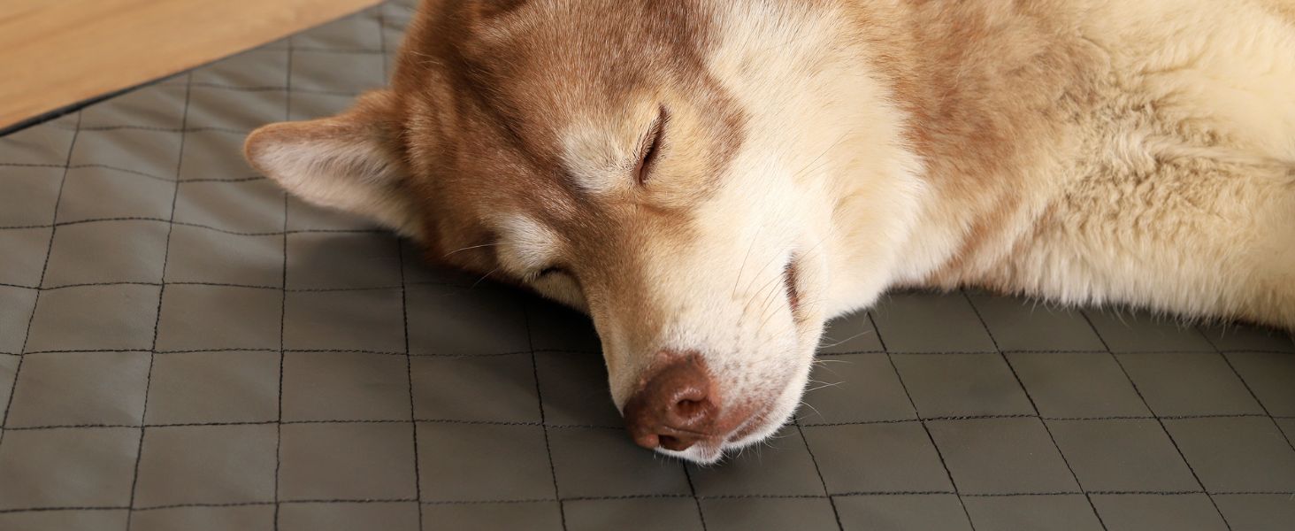 Ортопедичний килимок для собак Lionto з Memory Foam, 80x55 см, сірий. Знімний чохол, антиковзаюча підкладка.