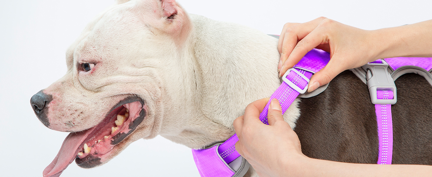 Нашийник для собак Huntboo, великих порід, анти-вислизання, світловідбиваючий, водонепроникний, регульований, для прогулянок та бігу (L, фіолетовий лаванда)