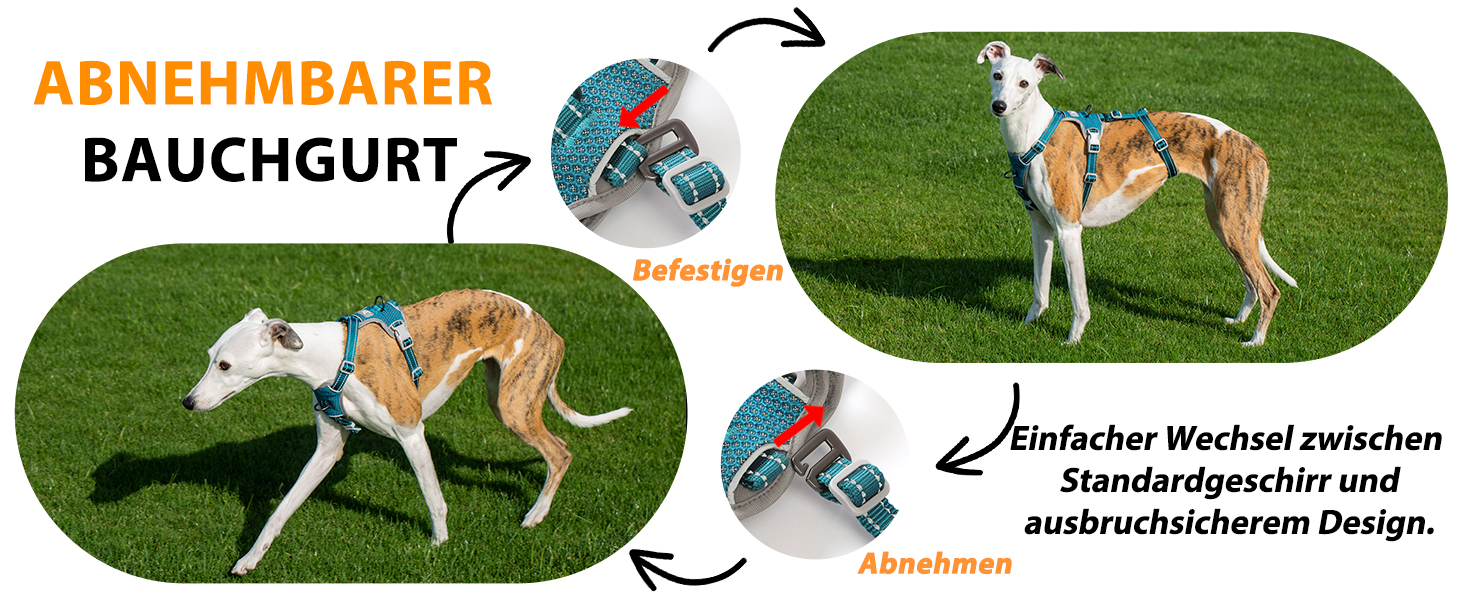 Шлейка Huntboo для собак: безпечна від виривання, антистресова, з відбиваючими елементами, регульована, легка (розмір S, блакитна)