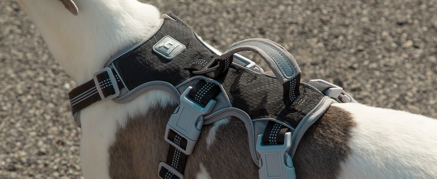 Нашийник для собак Huntboo, великі породи, анти-злам, світловідбиваючий, водонепроникний, регульований, для прогулянок та бігу (Чорний, L, упаковка з 1)