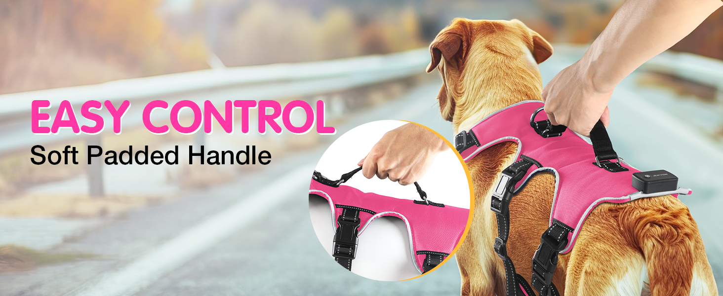 Світловідбиваючий нашийник для собак Jewyow з LED, перезаряджуваний, м'який, регульований, водонепроникний, для середніх та великих собак, зелений (рожевий, M)