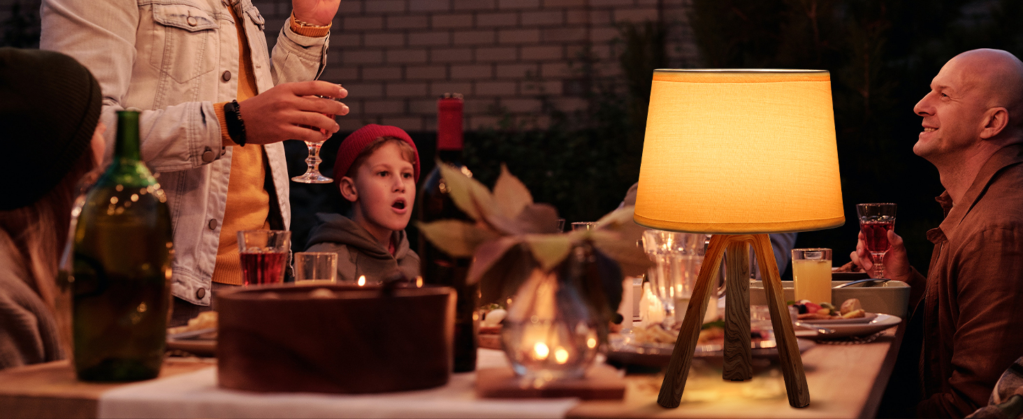 LED-лампа Egobasic настільна бездротова з пультом, таймером, регулюванням яскравості, акумулятором, змінним кольором, для спальні, кухні, вітальні (тринога з харчової смоли)