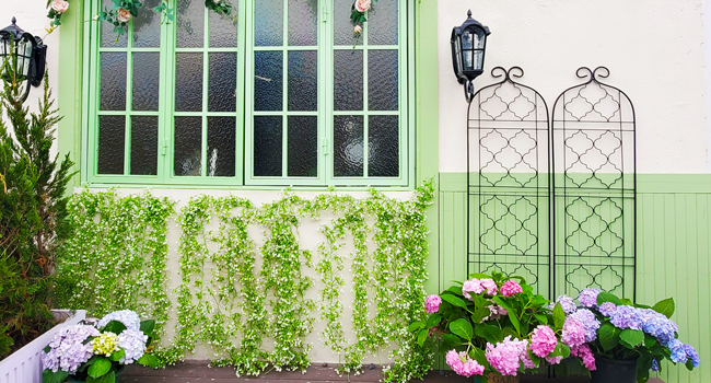 Садова опора SCENDOR GARDEN 150×40 см для витких рослин, винограду, огірків, томатів, квітів і овочів, металеві гратчасті панелі для пергол, 2 шт.