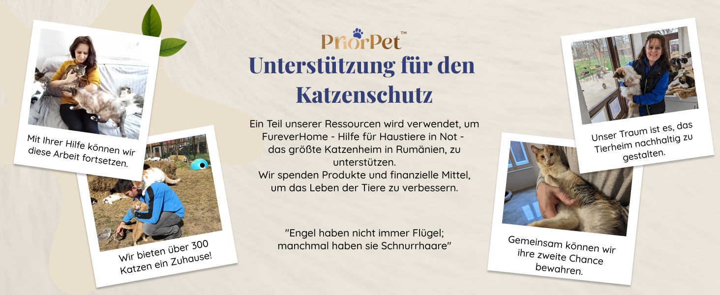 Дерево для котів з листям – Стабільний та компактний – 4 поверхні для дряпання та 3 стовпчики – Ідеально для лазіння, ховання та сну – Легка збірка – Безпечний та довговічний cat tree з натуральних матеріалів