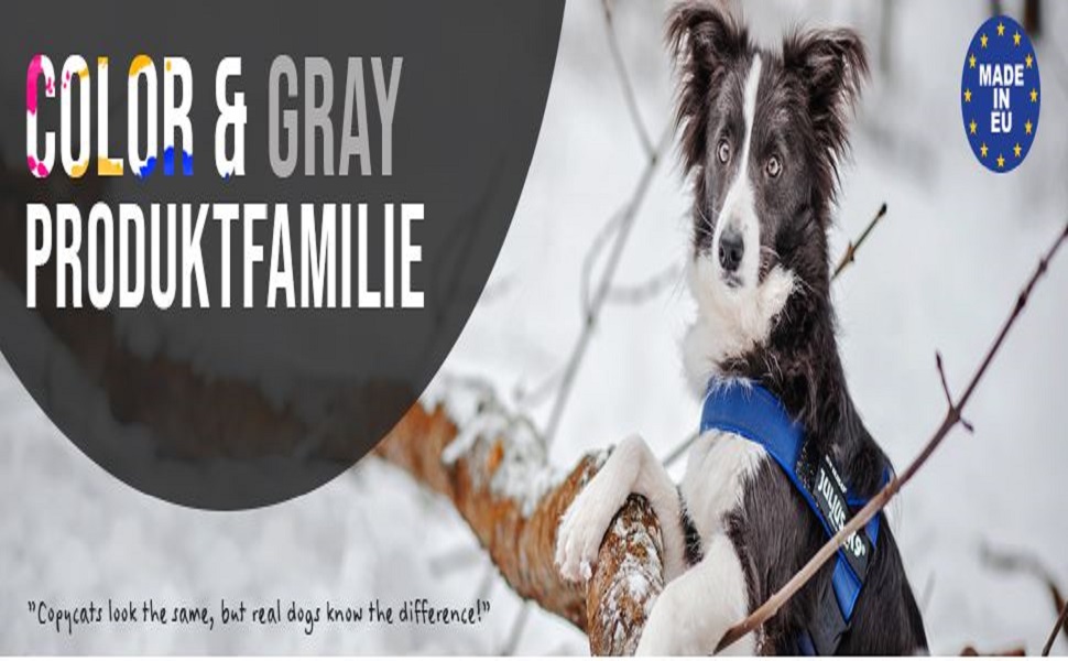 Шлейка Julius-K9 IDC® Color & Gray® (неоновий сірий, S / Mini)