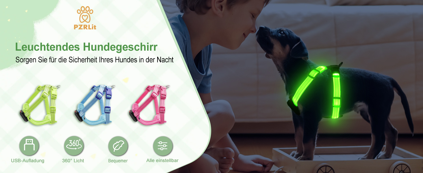 Світловідбиваючий нашийник для собак PZRLit з підзарядкою, для маленьких собак, XS, LED, для безпечних прогулянок вночі - Рожевий