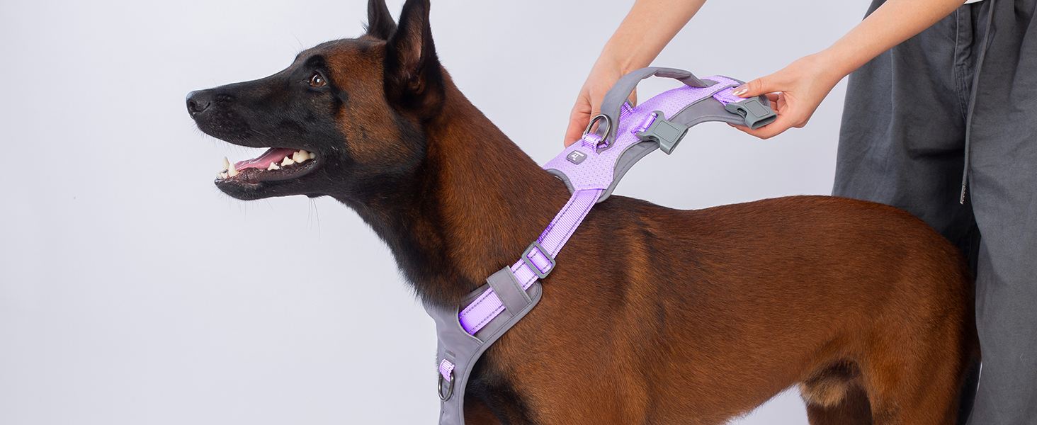 Шлейка безпеки для собак Huntboo, анти-втеча, для панічних собак, з ручкою, регульована, для маленьких, середніх та великих собак (лавандовий, M)