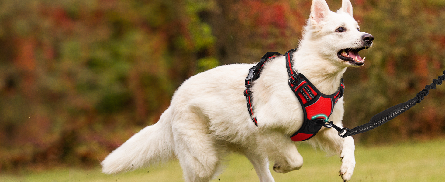 Нагрудник для собак Rabbitgoo середнього розміру, анти-тяга, регульований, великі собаки, дихаючий, з світловідбиваючими смугами, безпечне ведення, червоний (1 шт.)
