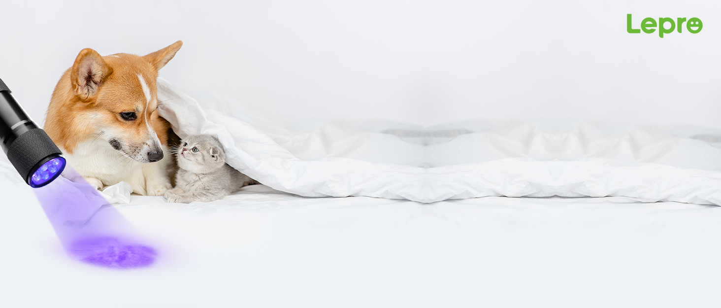 LED ультрафіолетова ліхтар з 9 світлодіодів, міні UV лампа з довжиною хвилі 395nm для геокешингу, детектування сечі домашніх тварин, тощо. В комплекті 6 батарейок AAA (2 шт.)