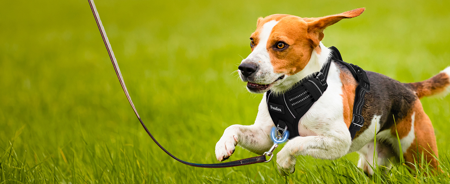 Шлейка для собак середніх розмірів Funfox, анти-тяга, з ручкою та світловідбиваючими смугами, не тягне, чорна, розмір L