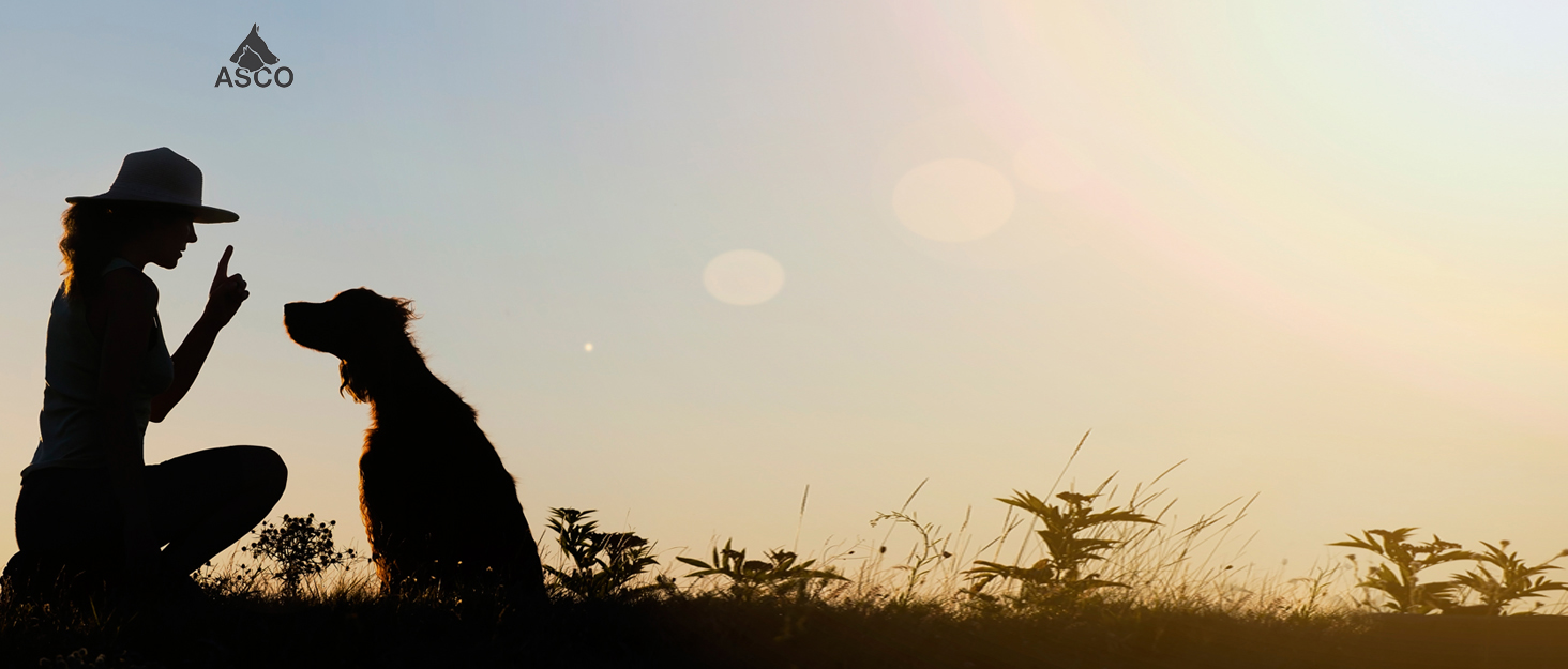 Сумка для ласощів для собак ASCO Leckerlitasche - зручна та велика сумка для тренувань з великою внутрішньою кишенею, блакитна
