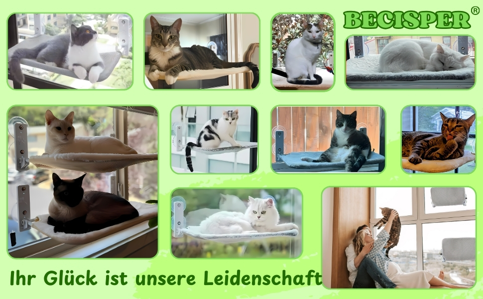 Підвісна гамак для котів на вікно/стіну, ліжко для котів з присосками, без кабелю, з іграшкою. Бежевий, великий