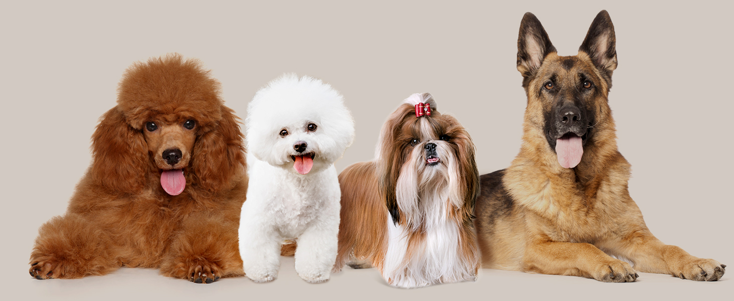 Професійна машинка для стрижки собак Oneisall для густого хутра з основою, електрична машинка для стрижки собак з потужним мотором 6500RPM для густого, довгого та кучерявого хутра, срібна