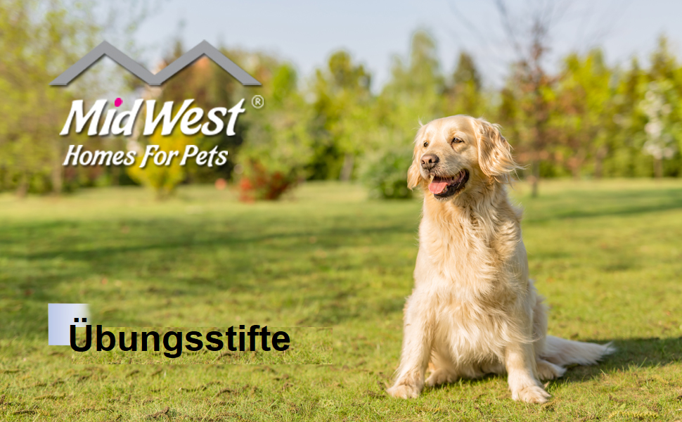 Клітка-загон для собак Midwest Homes for Pets 550-36DR, 157x157x91 см, чорна емаль, з дверцятами