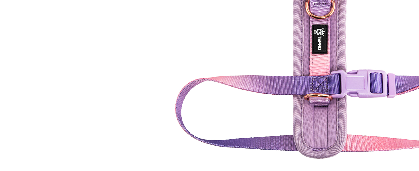 Шлейка для собак середніх порід TSPRO, не тягне, жовто-зелена градієнтна графіка, регульована, з швидкою застібкою, дихаюча та міцна (Розмір 2, обхват шиї 40.6–68.6 см, обхват грудей 40–70 см)