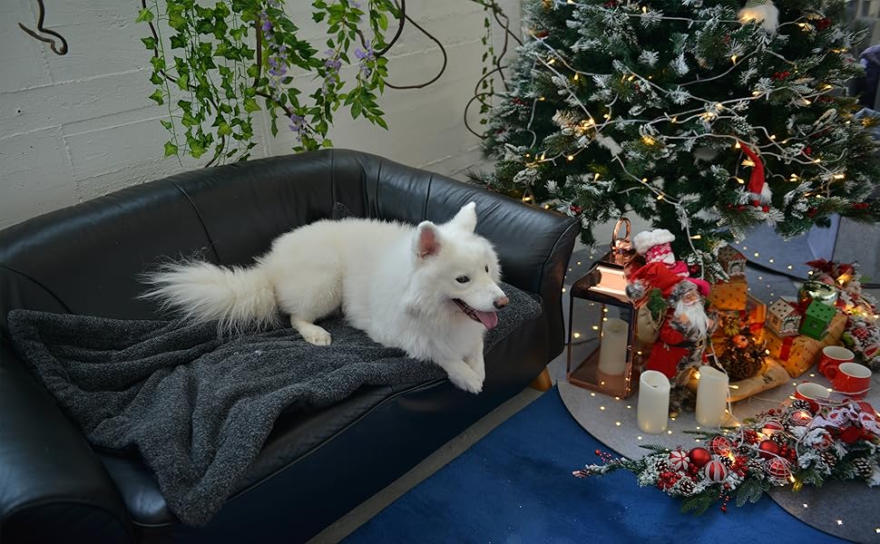 М'яка ковдра для собак та котів Raikou з плюшевою подушкою, 80x60 см, блакитний мікс (миється, не ковзає)