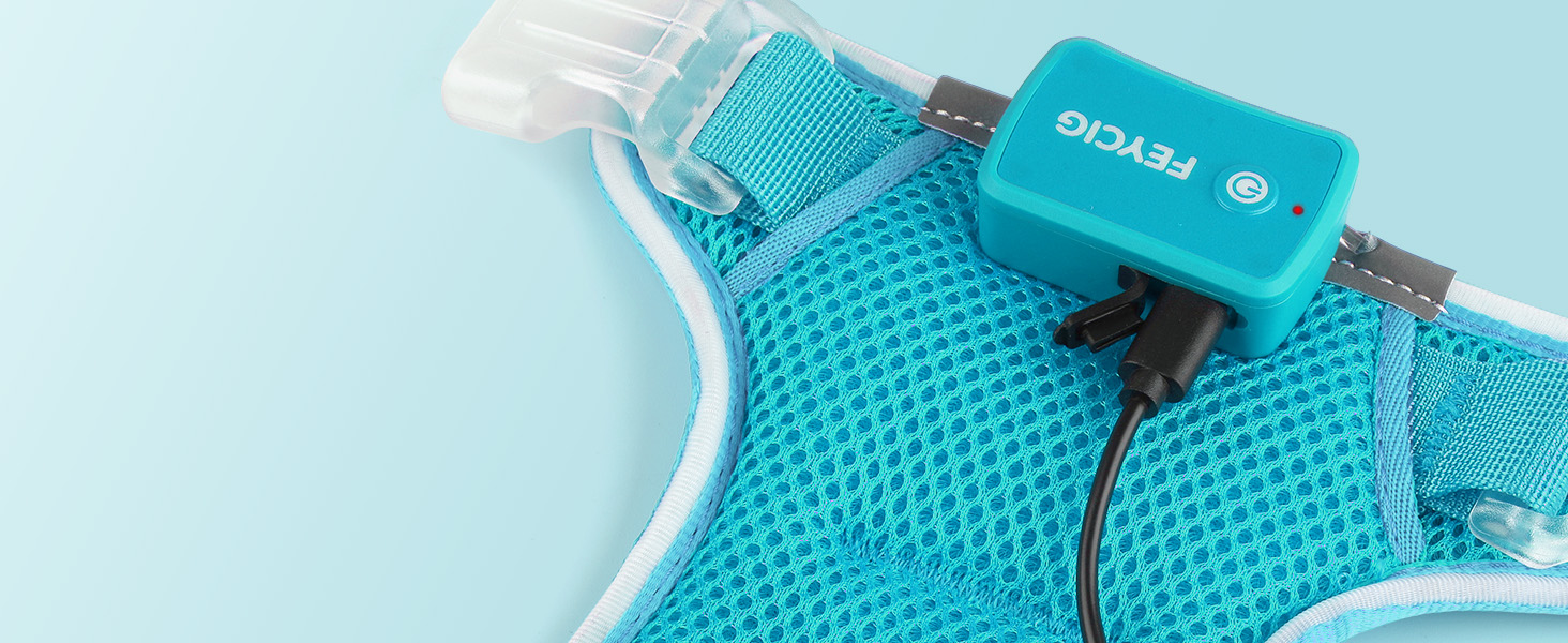 Світлодіодне шлейка для собак з підсвічуванням LED, перезаряджувана - шлейка з LED для собак маленьких, середніх та великих порід, світловідбиваюча, регульована, XL (Блакитний, Large)