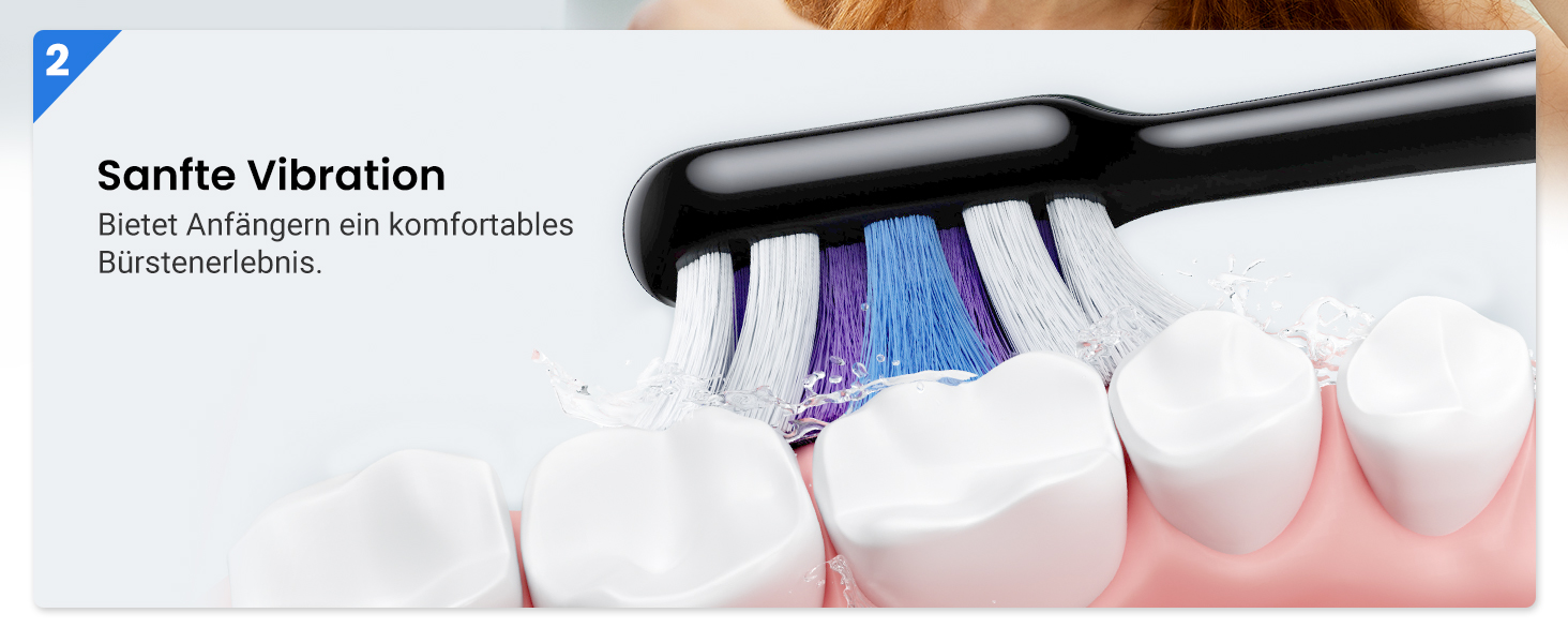 Електрична звукова зубна щітка Etekcity з 5 режимами, 6 насадок, таймер 2 хв, для дорослих та дітей, чорна преміум-модель