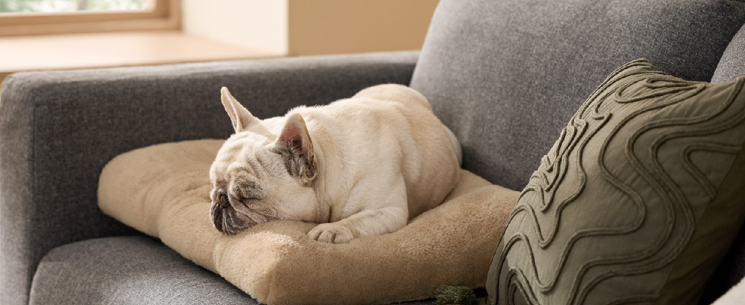 Крісло-лежанка для собак BEDSURE XL - велике, 104x69x8 см, сіре. Лежанка для собак з антиковзним дном, м'яка та зручна.