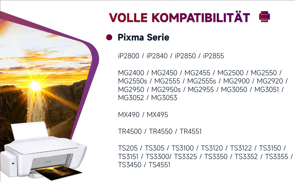 Картриджі для принтера Canon 545 546 XL (PG-545 / CL-546 XL) сумісні, Multipack для Pixma TS3400, TS3100, TS3300, TR4500, MG2500, MX495