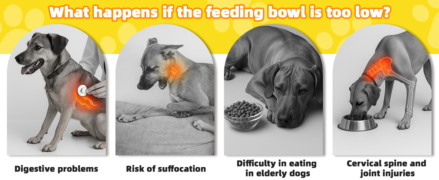 Підвищена годівниця для собак, регульована висота, великі породи - 2 x миска з нержавіючої сталі (1200 мл) + 1 x повільна годівниця (800 мл) - антиковзна станція для годування середніх/великих собак, чорний/сірий колір