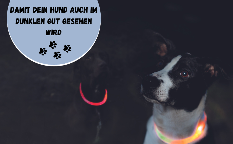 Світловідбиваючий нашийник для собак TRIXIE L-XL блакитний - безпечні прогулянки в темряві, перезаряджається, регулюється