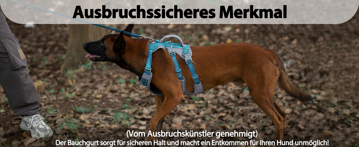 Шлейка безпеки Huntboo для собак, антизламна, від паніки, з ручкою, регульована, для малих, середніх та великих собак (M), блакитно-зелений (1 шт.)