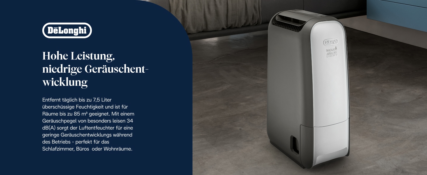 Зволожувач повітря De'Longhi Tasciugo AriaDry Light - портативний, з іонізацією, технологія цеоліту, 7.5 л/день, сушка білизни, сірий (DNS65)