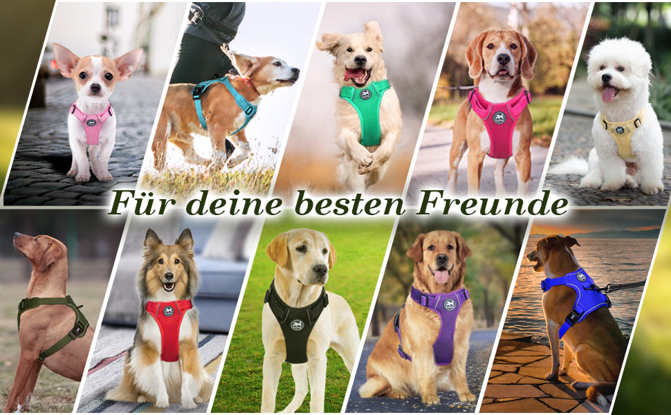 Поясна шлейка для собак PoyPet з сітки, дихаюча, м'яка, світловідбиваюча, з регульованим обхватом, синього кольору (M)