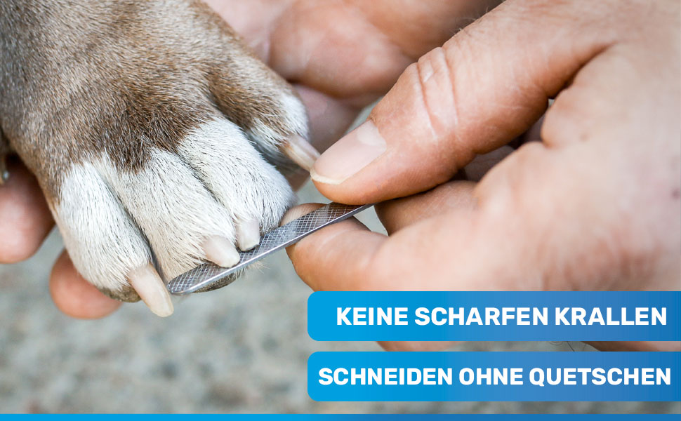 Ножиці для обрізання кігтів BluePet Profi Krallenschere для собак та котів - професійні, міцні, з напилком у ручці, для дрібних тварин, блакитні