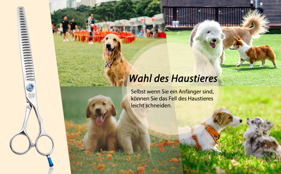 Професійна ножиця для грумінгу собак Moontay 7 дюймів, 440C сталь, для витончення та стрижки