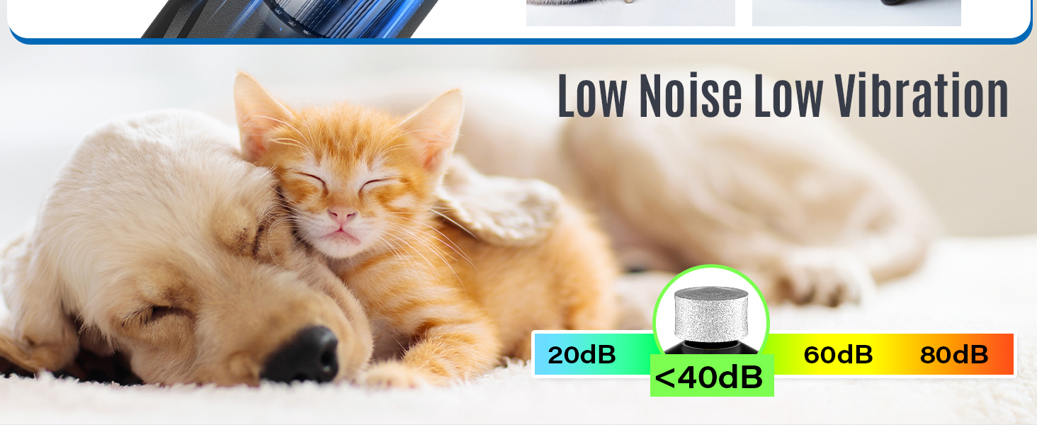 Електричний шліфувальник для собак та котів Casfuy Neue 6-Gang – тиха робота, 2 LED, 7 годин роботи, для собак великих, середніх та малих порід, чорний