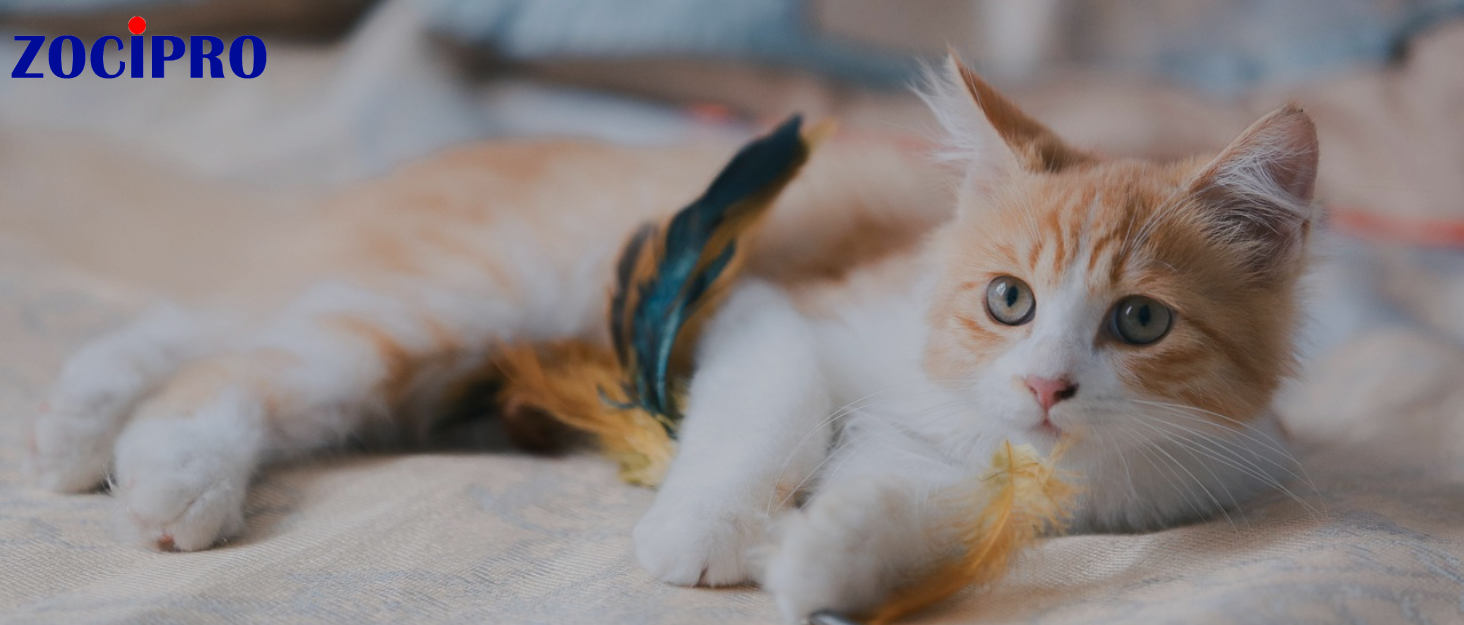 Футляр для ласощів для собак, малий, з автоматичним закриттям, для тренувань, сірий