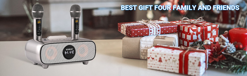 Караоке машина DLARA з Bluetooth, USB, TF-карта, мікрофон та динамік для дорослих та дітей, портативна, з підставкою, AUX-in, для дому та вулиці (блакитний/сірий)
