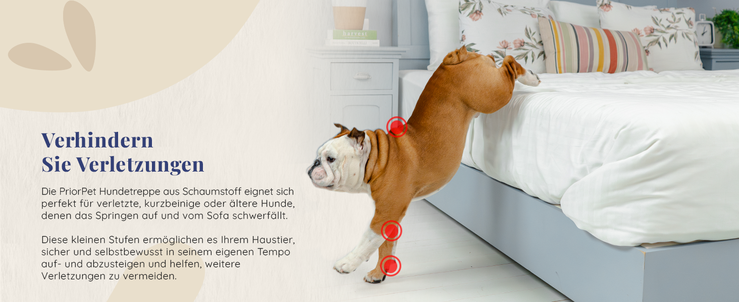 Сходинки для собак на ліжко та диван: 4 сходинки, 58 см, з пінопласту, для маленьких собак, безпечні та стабільні, знімний та пральний чохол, світло-сірий