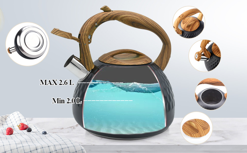 Чайник-свисток Teekessel з нержавіючої сталі, для всіх типів плит