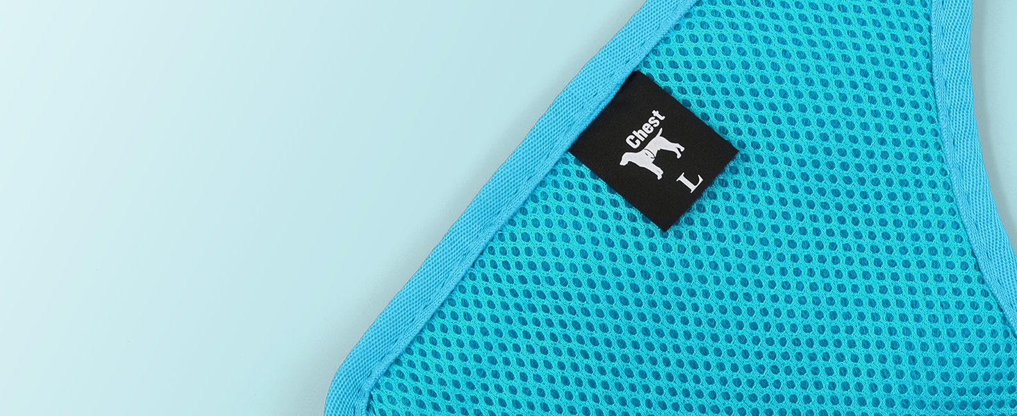 Світлодіодне шлейка для собак з підсвічуванням LED, перезаряджувана - шлейка з LED для собак маленьких, середніх та великих порід, світловідбиваюча, регульована, XL (Блакитний, Large)