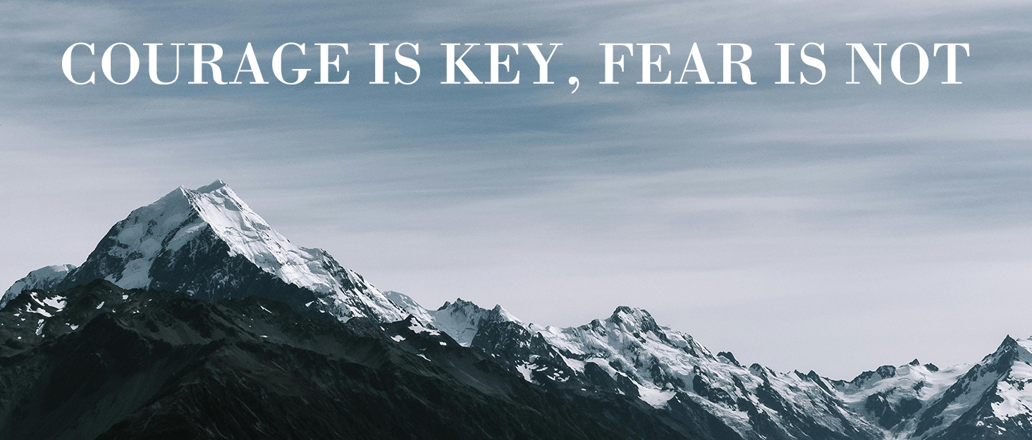 FREE SOLDIER Чоловіча зимова жилетка - тепла флісова жилетка, вітростійка, реверсивна, без рукавів, софтшелл для роботи та походів, S, Синій&Чорний